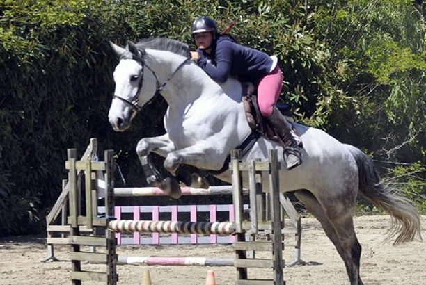 Vacances pour tous - colonies de vacances  - Ceyzériat - Stage intensif d'équitation