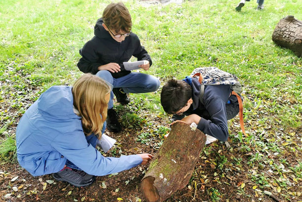 Vacances pour tous - colonies de vacances  - La Rouquette - Les experts de la nature