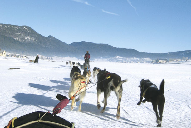 Vacances-passion - Centre d'Autrans - Autrans - Isère