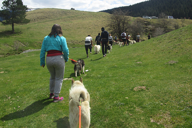 Vacances pour tous - colonies de vacances  - La Mongie-Barèges - Les petits bergers pyrénéens
