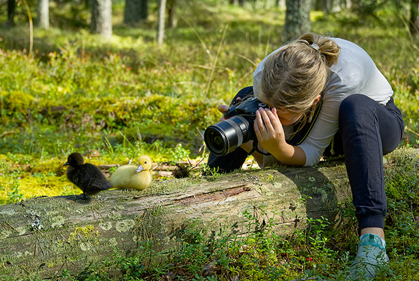 Vacances-passion - Les Jonquilles - Xonrupt-Longemer - Vosges