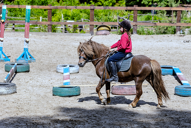 Vacances pour tous - colonies de vacances  - Gouville-sur-Mer - Gouville aventure