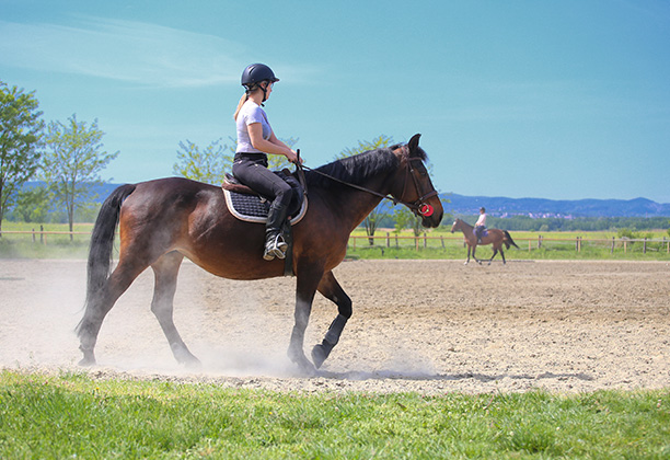 Vacances-passion - Les écuries de l'Odon - Baron-sur-Odon - Calvados
