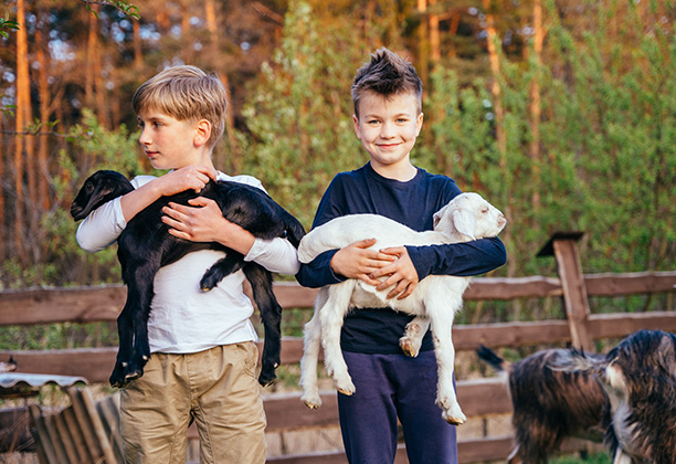 Vacances pour tous - colonies de vacances  - Valloire - L'aventure montagnarde