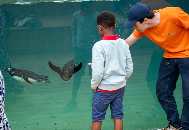 Vacances pour tous - colonies de vacances  - Préfailles - Moussaillons - Les animaux légendaires de l'Atlantique
