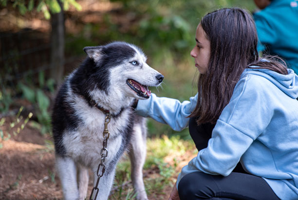 Vacances-passion - Volca-Sancy - Murat-le-Quaire - Puy-de-Dôme