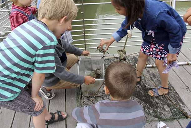 Vacances-passion - Les Moussaillons - Préfailles - Loire-Atlantique