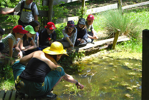 Vacances-passion - Domaine de Laurière - Villefranche-de-Rouergue - Aveyron