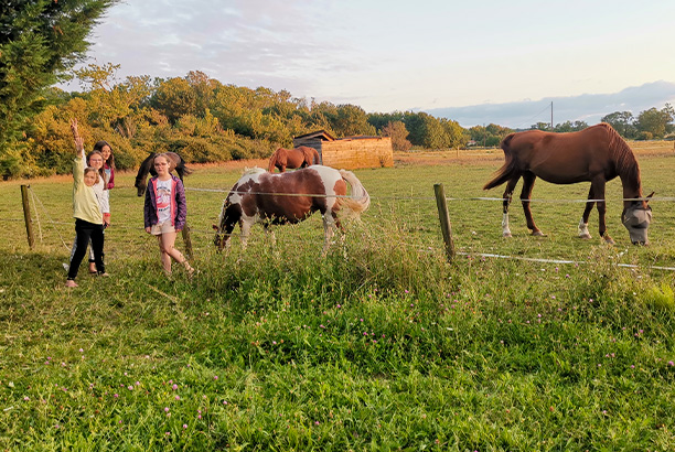 Vacances-passion - Centre à Mornac - Mornac-sur-Seudre - Charente-Maritime