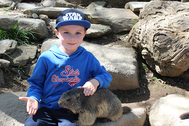 Vacances pour tous - colonies de vacances  - Artigues - Petits bergers pyrénéens