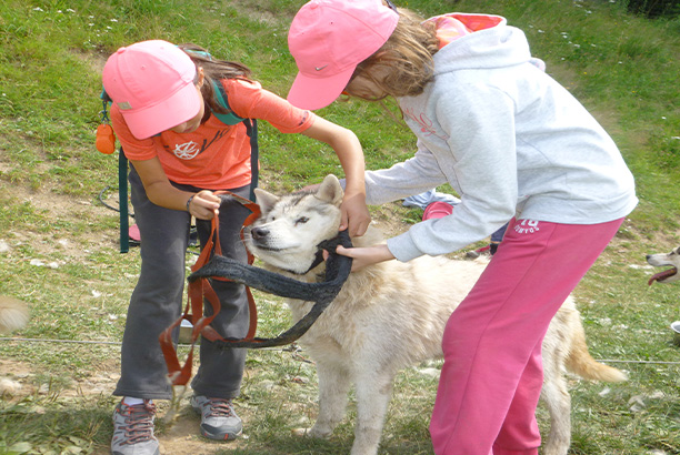 Vacances pour tous - colonies de vacances  - Le Bessat - Cani-rando