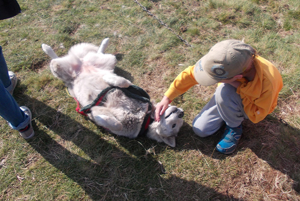 Vacances-passion - Volca-Sancy - Murat-le-Quaire - Puy-de-Dôme