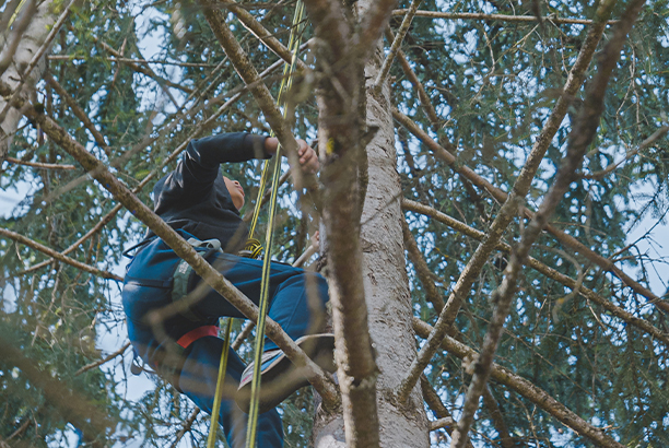 L'aventure des trappeurs