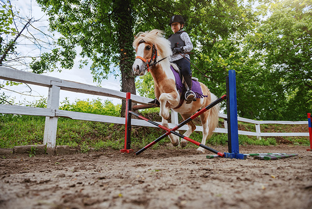 Vacances-passion - Sireuil hébergement jeunesse - Sireuil - Dordogne