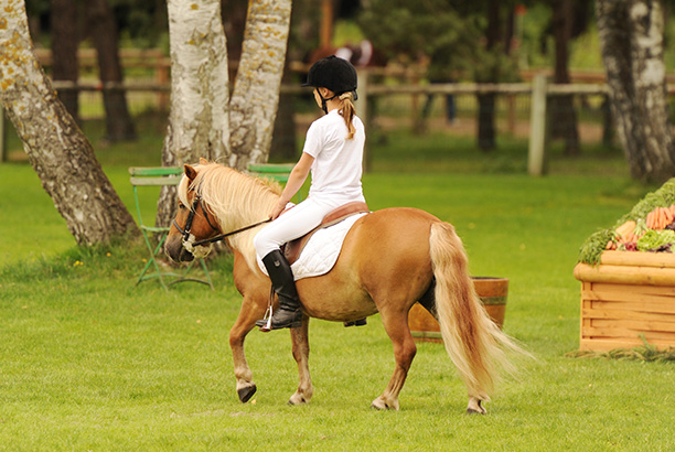 Vacances-passion - Sireuil hébergement jeunesse - Sireuil - Dordogne
