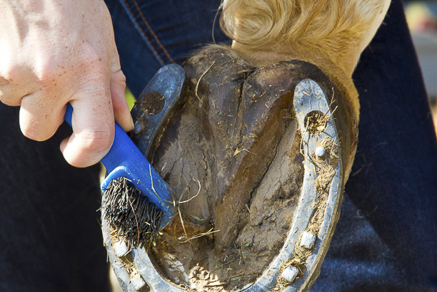 Vacances-passion - Sireuil hébergement jeunesse - Sireuil - Dordogne