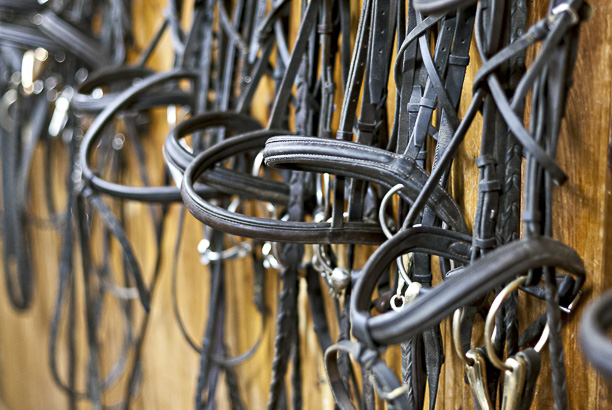 Vacances-passion - Sireuil hébergement jeunesse - Sireuil - Dordogne