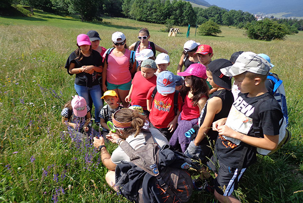 Vacances-passion - Centre de jeunesse Le Vertaco' - Autrans - Isère
