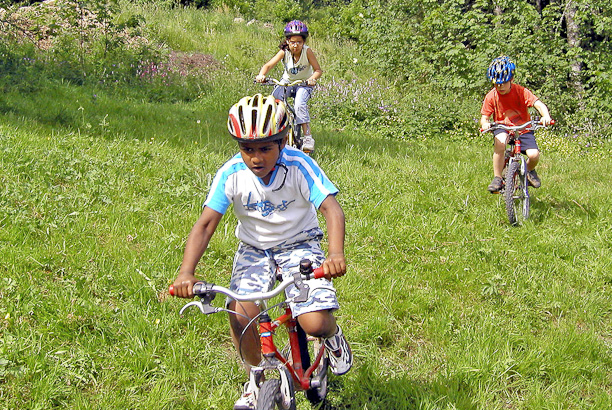 Vacances-passion - Les Jonquilles - Xonrupt-Longemer - Vosges