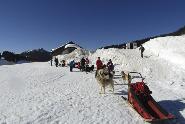 Vacances pour tous - colonies de vacances  - Les Glières - Chiens de traîneau, into the Wild...