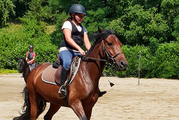 Vacances pour tous - colonies de vacances  - Ceyzériat - Stage intensif d'équitation
