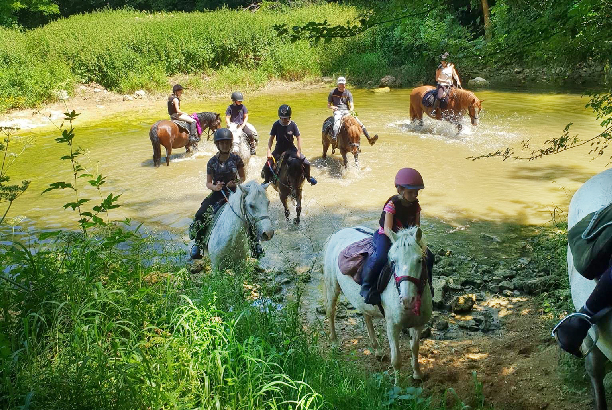 Vacances pour tous - colonies de vacances  - Ceyzériat - Stage intensif et randonnée équestre