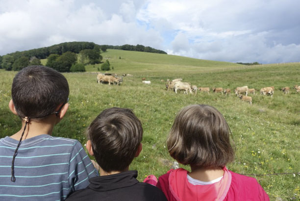 Vacances-passion - Le Chalet du Rouergue - Laguiole - Aveyron