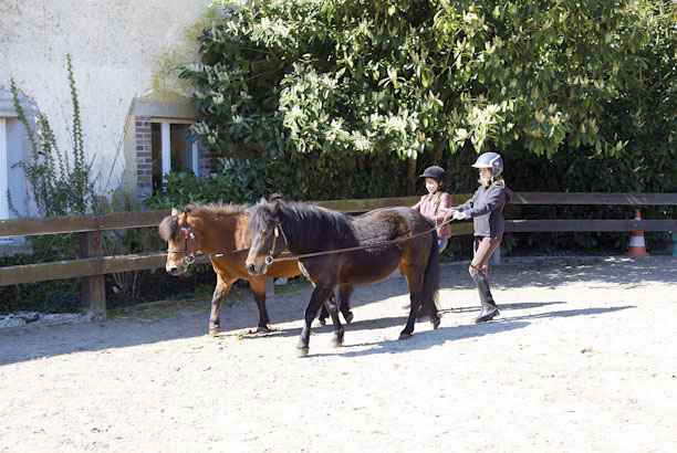 Vacances-passion - Domaine équestre de Chevillon - Charny-Orée-de-Puisaye - Yonne