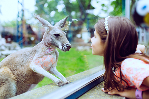Vacances pour tous - colonies de vacances  - Baugé - Ma colo au zoo de La Flèche