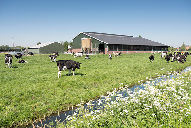 Vacances-passion - Ferme pédagogique du Pichet - Norroy-sur-Vair - Vosges