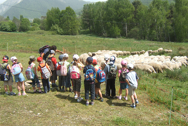 Vacances-passion - Ancelle - Ancelle - Hautes-Alpes