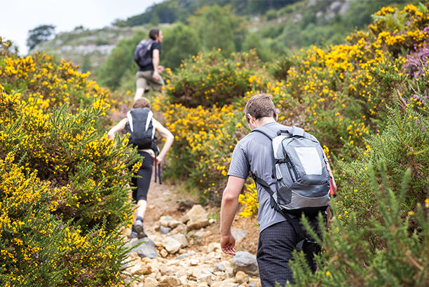 Vacances-passion - Les Jonquilles - Xonrupt-Longemer - Vosges