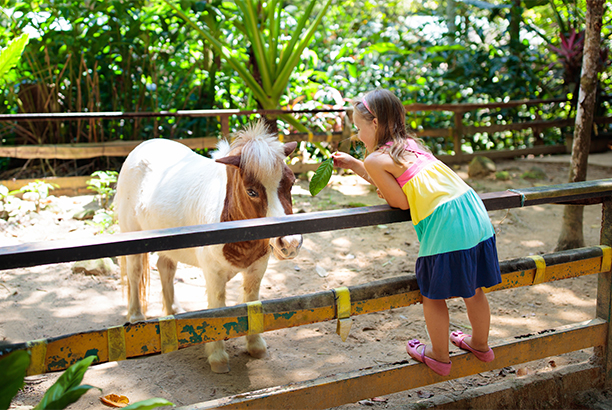 Vacances-passion - Centre La Roche - Stosswhir - Haut-Rhin
