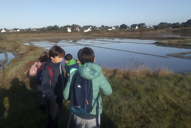 Vacances-passion - Le Razay - Piriac sur Mer - Loire-Atlantique