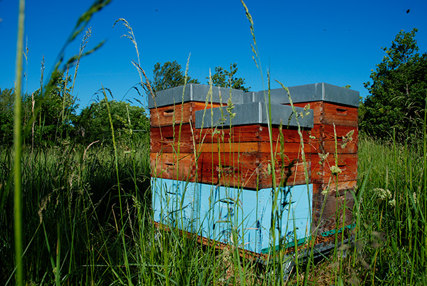 Vacances-passion - Domaine Mondonville - Toulouse - Haute-Garonne