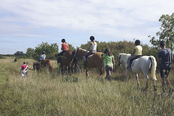 Vacances pour tous - colonies de vacances  - Mornac-sur-Seudre - Stage d'équitation à l'océan