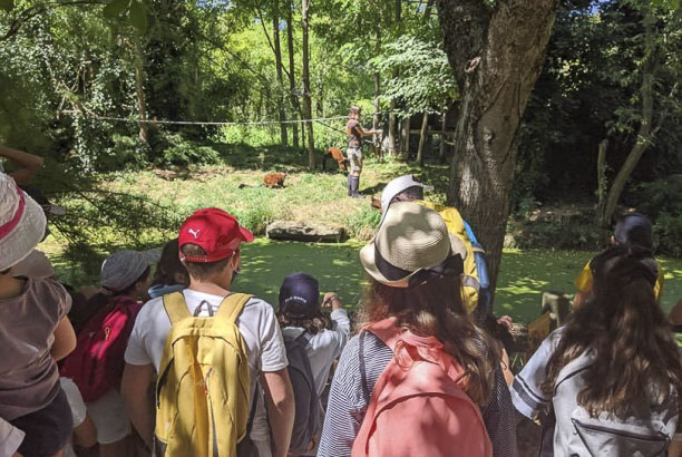 Vacances pour tous - colonies de vacances  - Doué-la-Fontaine - Un été au zoo