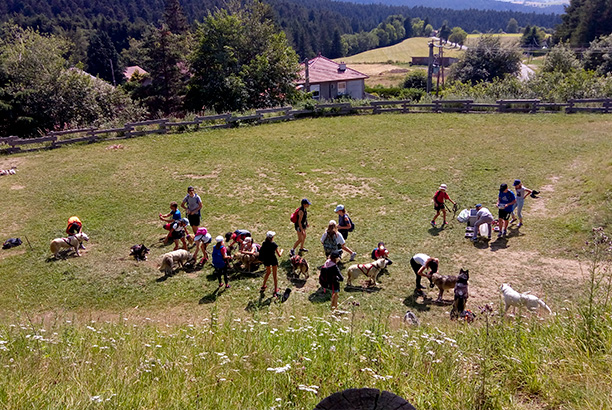 Vacances-passion - Centre La Traverse - Le Bessat - Loire