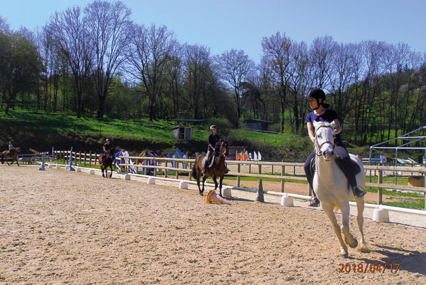 Vacances-passion - Centre Jas sport - Feurs / Jas - Loire