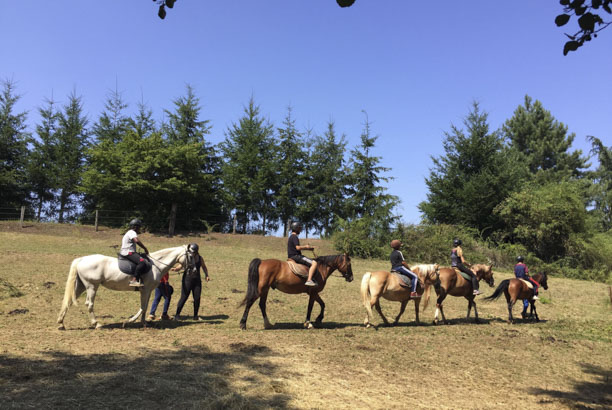 Vacances pour tous - colonies de vacances  - Les Athiauds - Équitation plaisirs