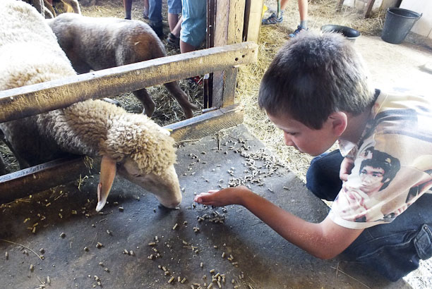Vacances-passion - Centre d’Artigues - Artigues - Hautes-Pyrénées
