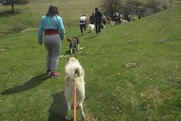 Vacances-passion - Centre d’Artigues - Artigues - Hautes-Pyrénées