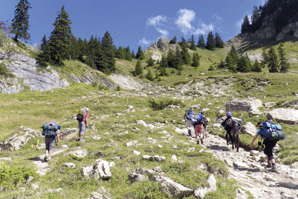 Vacances-passion - Thorens-Glières - Thorens Glières - Haute-Savoie