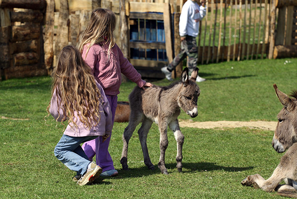 Vacances-passion - Centre d'Autrans - Autrans - Isère