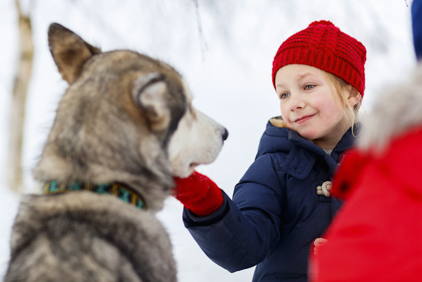 Vacances pour tous - colonies de vacances  - Saint-Front - Mushers d'Auvergne