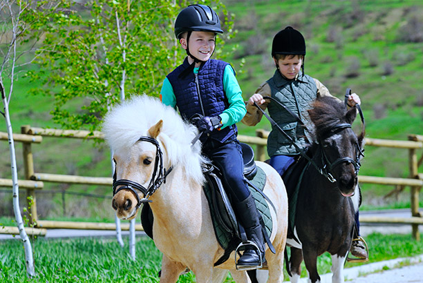 École d'équitation à Lyon: passage des galops 1 à 7