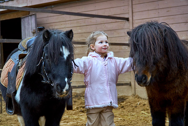 Vacances pour tous - colonies de vacances  - Chevillon - Mon premier poney et les animaux de la ferme