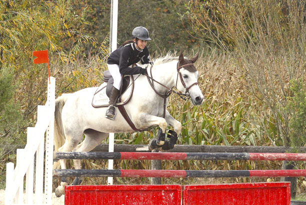 Vacances pour tous - colonies de vacances  - Chevillon - À cheval ! Stage "perfectionnement"