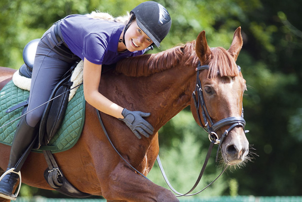 Vacances pour tous - colonies de vacances  - Chevillon - À cheval ! Stage "progression"