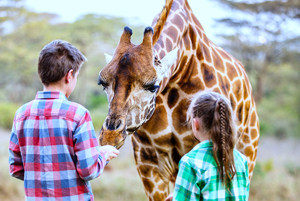 Vacances pour tous - colonies de vacances  - Baugé - Ma colo au zoo de La Flèche